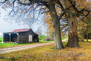 Old barn and machinery shed with autumn leaves.