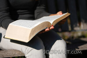 Open Bible