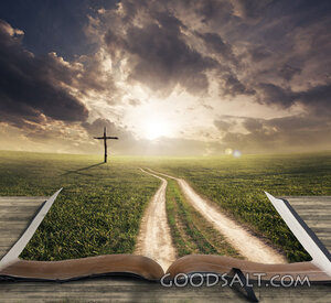 Open Bible Leading to the Cross