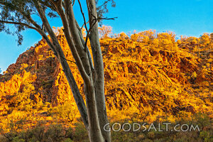 outback dry river gorge scenery