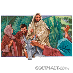 Jesus Enters Jerusalem