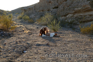 Compassion on the Jericho Road