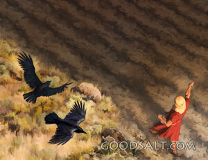 Parable of the Farmer