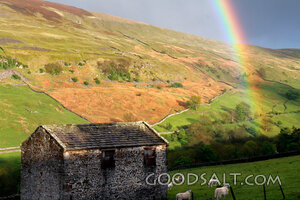 Pastoral Rainbow