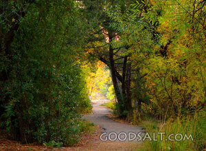 Path of Peace, Autumn Trail