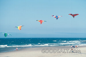 Kites Over the Seashore