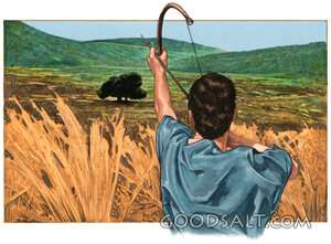 Jonathan’s Arrow Signal