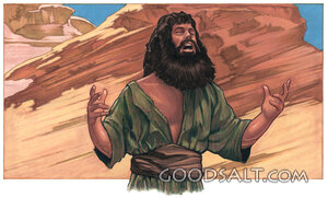 John the Baptist in the Wilderness