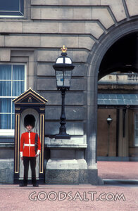 Guard at Buckingham Palace