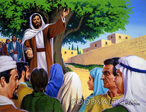 Peter Preaches and Many Believe