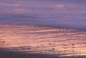 Evening Tide on the Shore