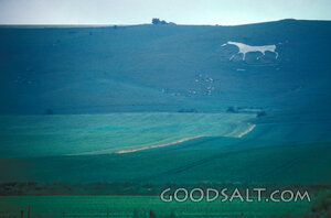 White Horse on the Highland Pasture