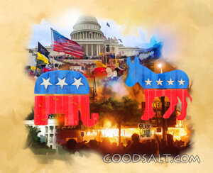Political Fight