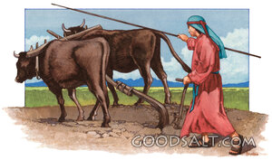 Elisha Plowing with Oxen