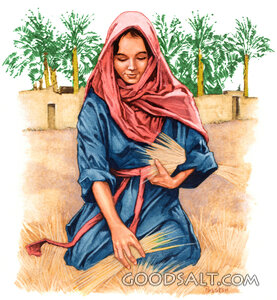 Ruth Gleaning in the Field