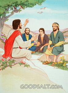 Rabbi