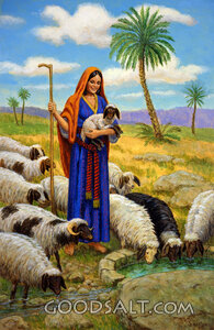 Rachel and the Sheep