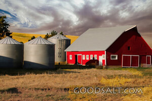 Red Barn and Grain Bins