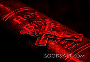 Red Cross on the Bible