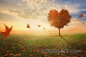 Red Heart Tree