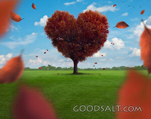 Red Heart Tree