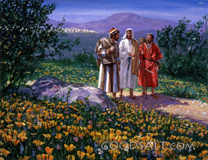 Road to Emmaus