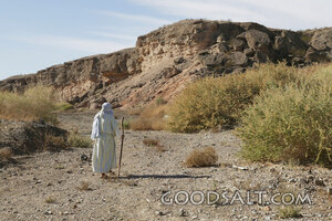 Sojourner in the Wilderness