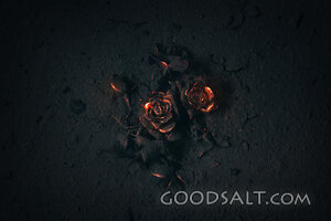 Rose Buried in Ashes