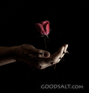 Rose From Thorns
