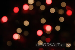 IDAHO. Boise. Festival of Trees. Red and white soft focus ab