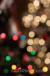 IDAHO. Boise. Festival of Trees. Multi color Christmas light