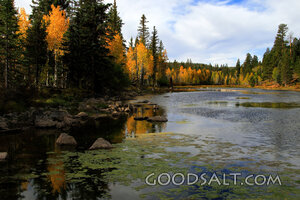 UTAH. Dixie National Forest at Aspen Mirror Lake on Highway 