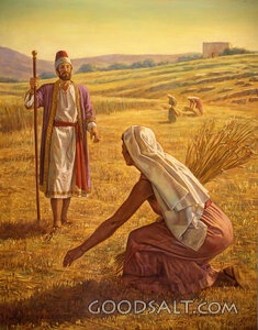 Ruth Meets Boaz