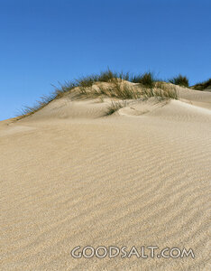 sand dune with blue sky and grass