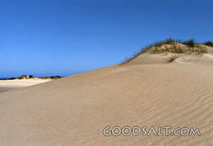 sandy beach with blue sky