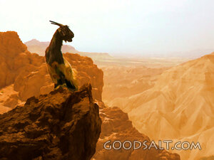 Scapegoat