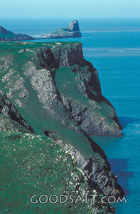 Sea Cliffs