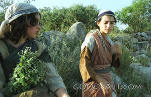 Servants and Herbs