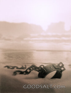 Set Free on the Shore