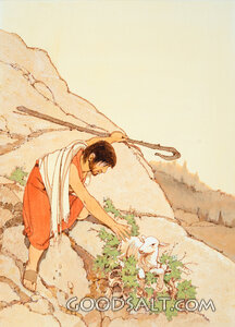 Shepherd Rescues Lost Lamb