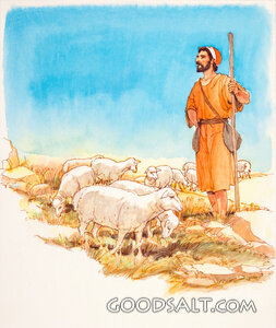 Shepherd Watching Flock of Sheep