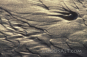 Glistening Sand Patterns