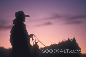 Cowboy Rider at Dusk