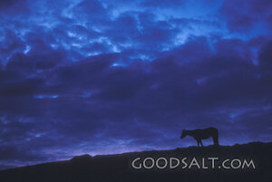 Horse on the Stormlit Hillside