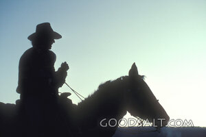 Cowboy Rider at Daybreak