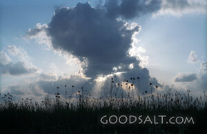 Skyscape
