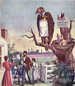 Licensed Bird of Prey