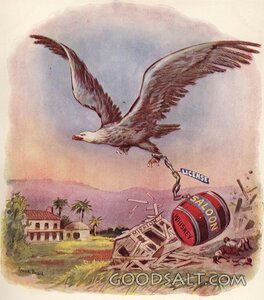 Eagle of Freedom Over the Broken Saloon