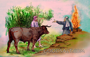 man brings gift sacrifice cow offering priest tells leave gift be reconciled to brother