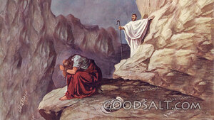 The Good Shepherd Above Despair